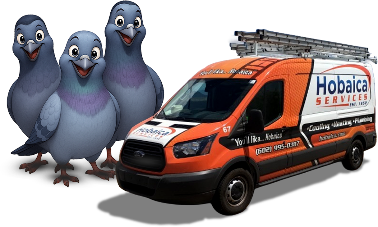 Hobaica truck with pigeons