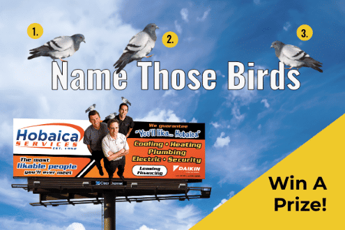 Three pigeons sit on top of a billboard advertising HVAC services, with text prompting viewers to name the birds for a chance to win a prize.