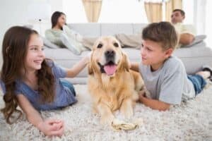 Two children lie on a carpet petting a golden retriever, while two adults sit on a sofa in the background of a bright living room.