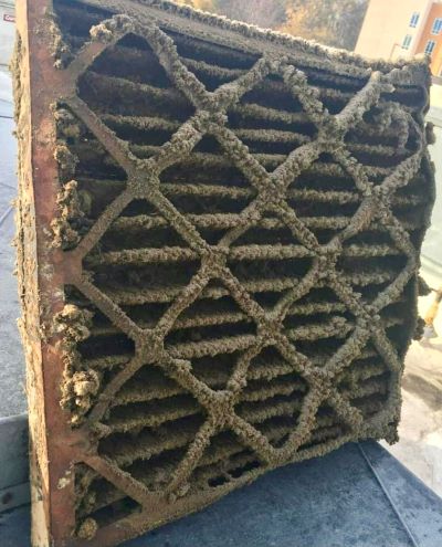 Clogged Air Filter